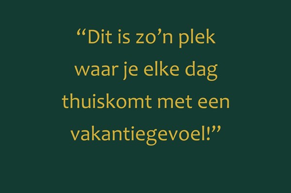 Foto met quote presentatie woning.jpg